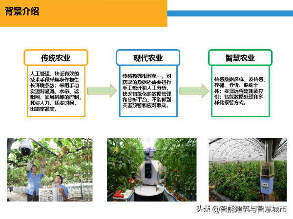 智慧農業&plus;物聯網解決方案
