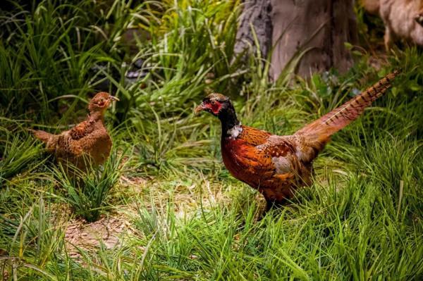 第一站,黃河入海口! 第一站,黃河入海口!