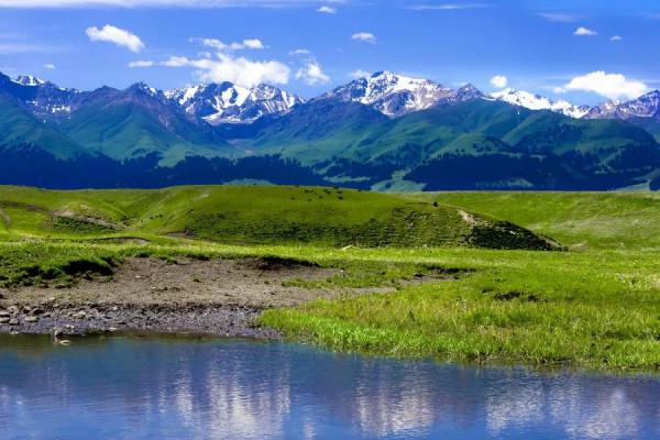 分享圖片——新疆那拉提草原