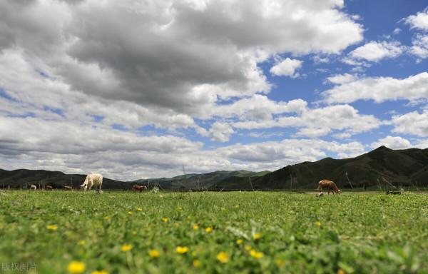 圖片分享一一乎倫貝爾大草原美景