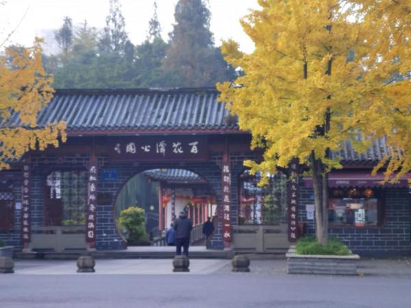 滿目金輝耀蓉城