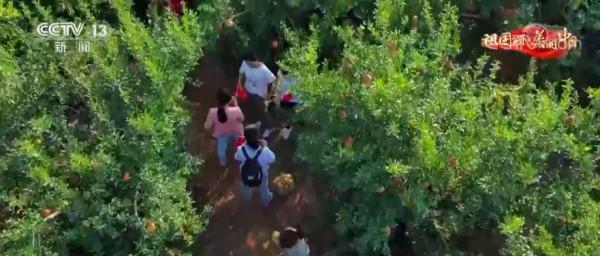 「祖國頌·美麗中國」安徽淮北:荒山綠石榴紅 美麗鄉村迎客來 「祖國頌·美麗中國」安徽淮北:荒山綠石榴紅 美麗鄉村迎客來