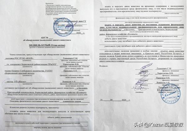 他撿了一隻小熊，以危險為名被帶走，辦護照蓋房子，就要給熊當爹