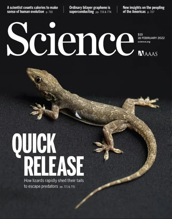 《科學》（20220218出版）一週論文導讀
