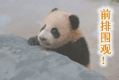 快來圍觀！就在明天！（內附直播連結）