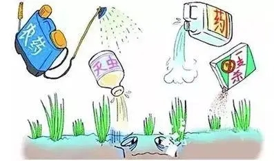 營養問題的轟動性報告