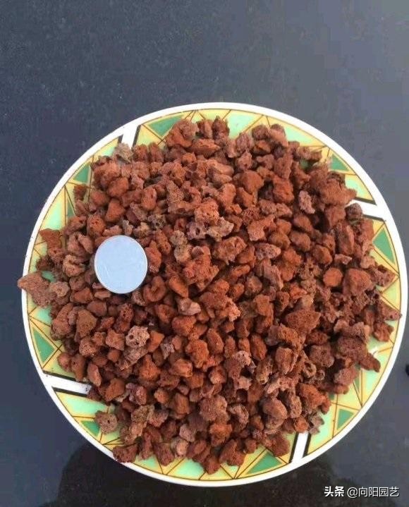 顆粒土好用？都一樣，看你如何把握！路邊的腐殖土照樣也能用