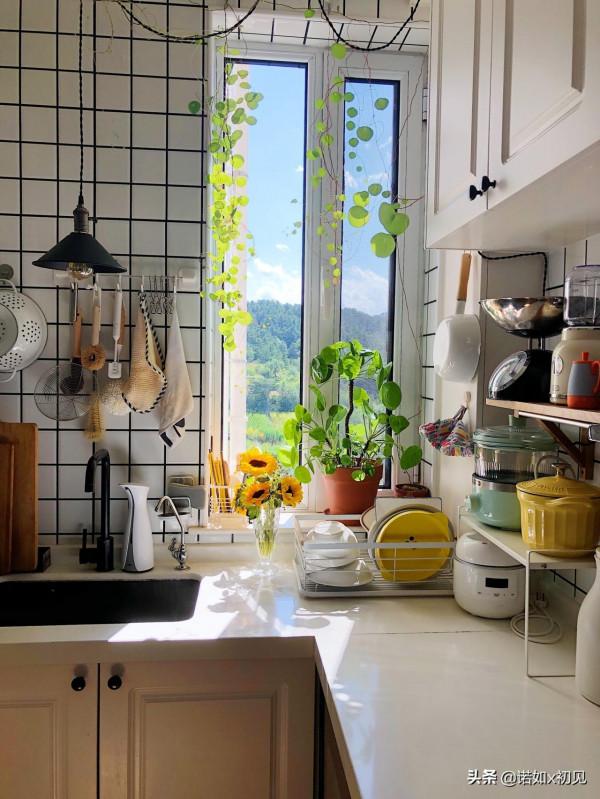 有誰能抵擋住爬藤植物帶來的快樂