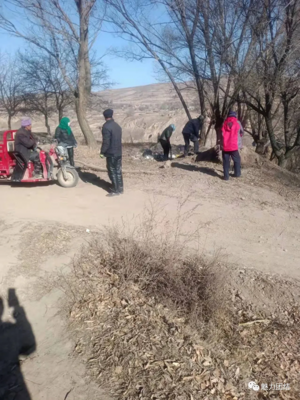 【七清兩提升一凝聚】團結鎮：美麗鄉村按下“快進鍵”