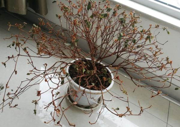 建議大家：不管再節儉，這25件東西能丟就丟，真的不用心疼