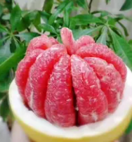 紅心柚子和白柚子你們更喜歡吃哪個？