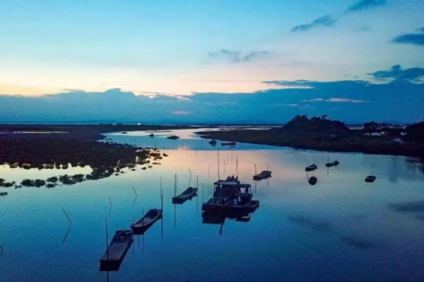 北海隔壁，廣西這座安逸老城！高鐵直達，嗦粉水果自由，早該火了