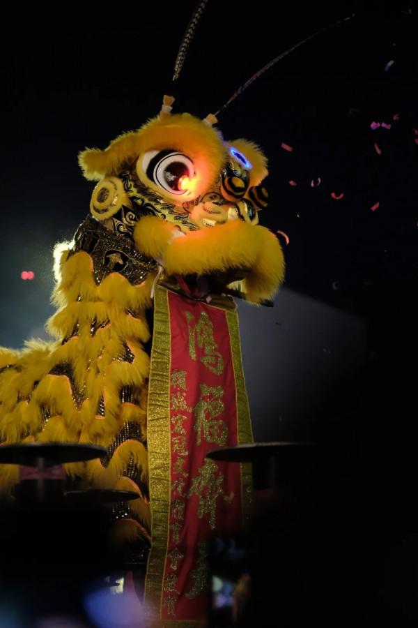 《雄獅少年》：未來可期