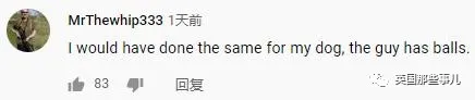 露營時狗狗被美洲獅襲擊,他瘋狂揮刀砍斷獅頭,網友吵翻了 露營時狗狗被美洲獅襲擊,他瘋狂揮刀砍斷獅頭,網友吵翻了