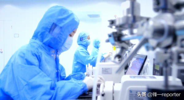 同樣養20萬隻蛋雞，他比別人多收入上百萬元，奧秘是啥？