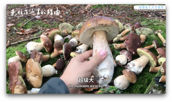 開著2萬人民幣的房車環法旅行：每天的風景，都是不一樣的