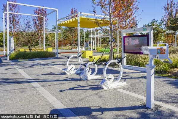 全部清零！當藝術戀上這座城，邂逅唯美“豎琴橋”，奇幻冰瀑即將亮相~