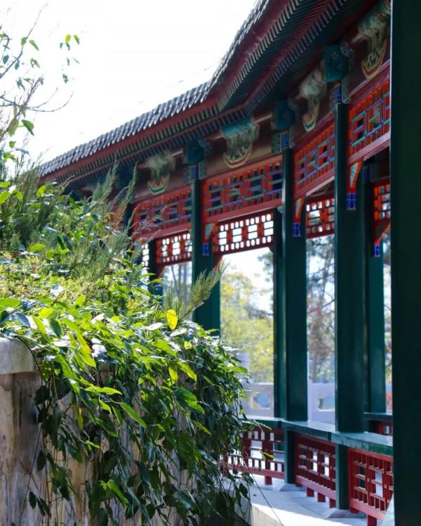 冬日裡的貴州綠博園美翻啦！今天我請客，請賞金輝遍灑、萬頃波光