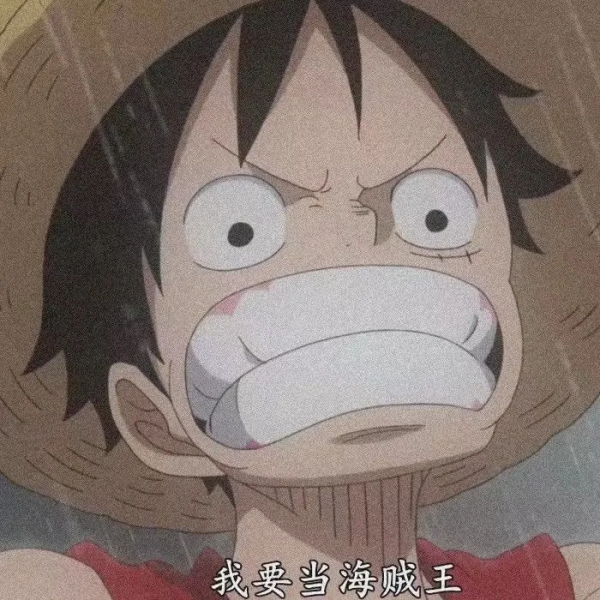 海賊王超燃│路飛頭像海賊王我當定了