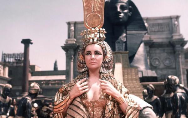 聊聊人類的好朋友——牛