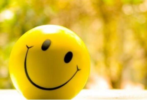 你和我都有的六顆韭菜心,實感了 你和我都有的六顆韭菜心,實感了