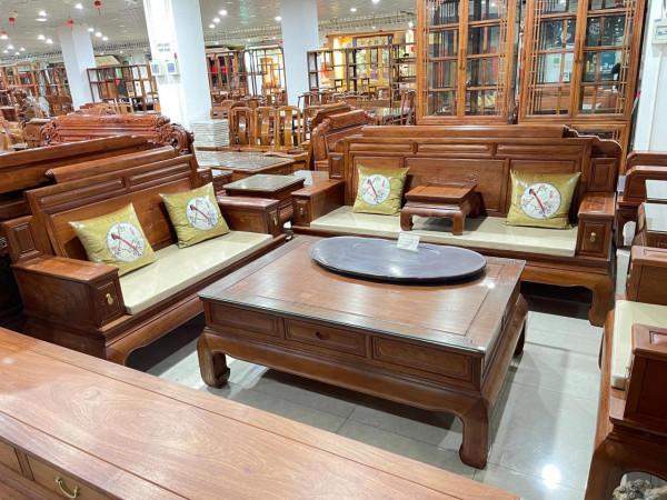 大眾情人—《大果紫檀》 大眾情人—《大果紫檀》