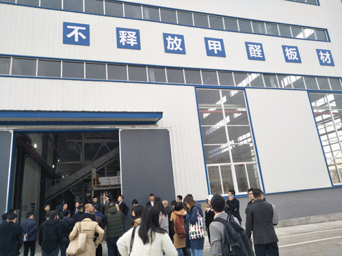 傢俱業綠色低碳轉型取得長足進步 傢俱業綠色低碳轉型取得長足進步