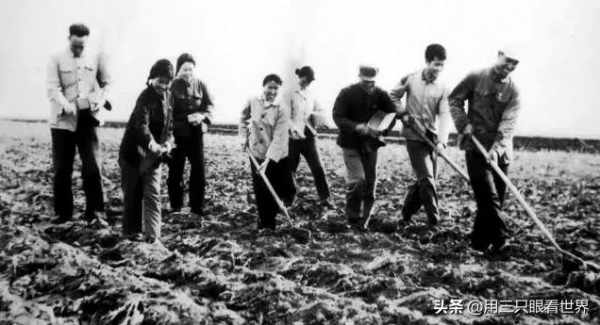 「知青往事」堅守在北大荒黑土地的老連長王德正