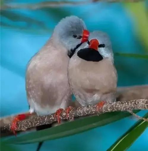 點亮愛的翅膀，帶著你一路飛翔，旅途有你，便是天堂