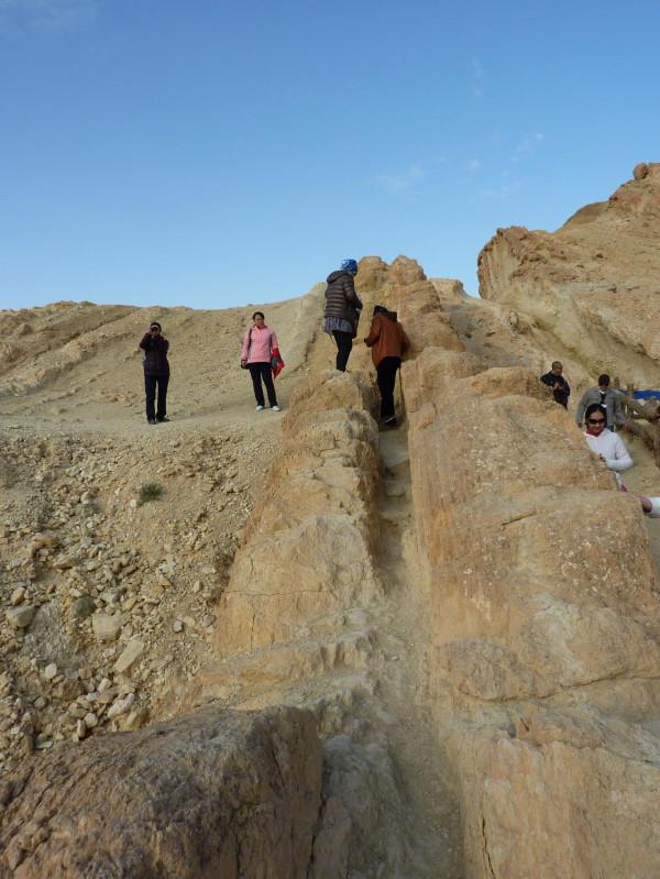 「突尼西亞2014」託澤尓（一）&mdash;&mdash;沙漠中的綠寶石