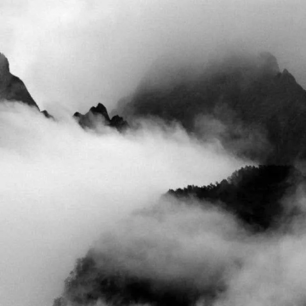 43.道德經四十三章:至柔克至堅,所向披靡。不言之教,無可匹敵 43.道德經四十三章:至柔克至堅,所向披靡。不言之教,無可匹敵