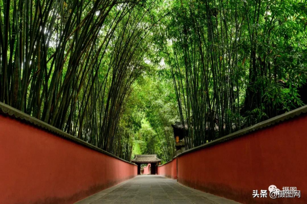 2022年最全旅行清單出爐：說走就走（這次一定）