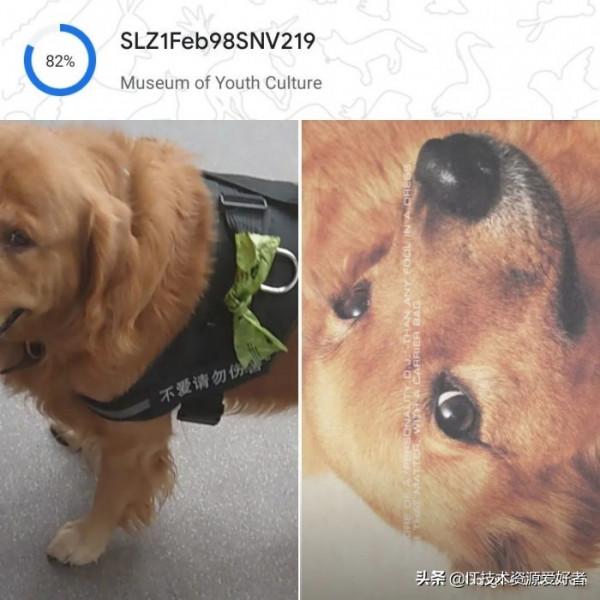 能檢測乳腺癌,還能讓漸凍症患者“開口說話”,谷歌這次有點東西 能檢測乳腺癌,還能讓漸凍症患者“開口說話”,谷歌這次有點東西