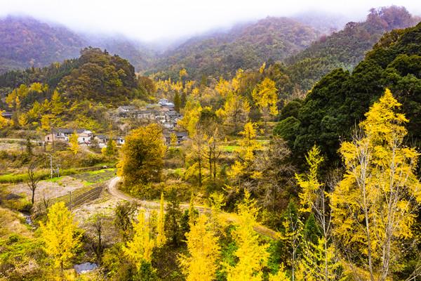 豫鄂交界深山村走出兩位開國將軍，濃濃秋色中掩藏很多感人的故事