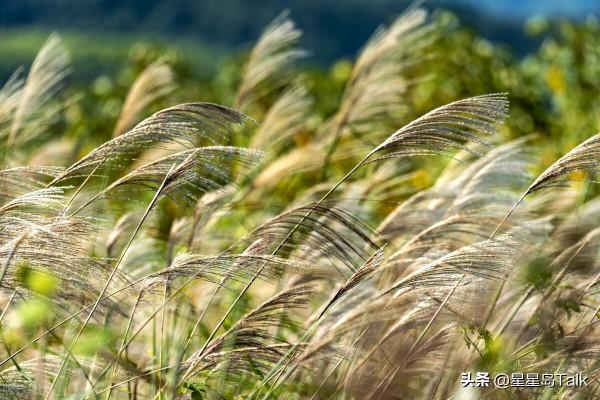 綜評 :10月下旬星座運勢解析