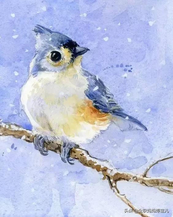 分享——栩栩如生的水彩鳥兒圖