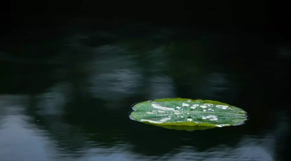 江湖沒了金庸,金庸的江湖卻一直都在 江湖沒了金庸,金庸的江湖卻一直都在