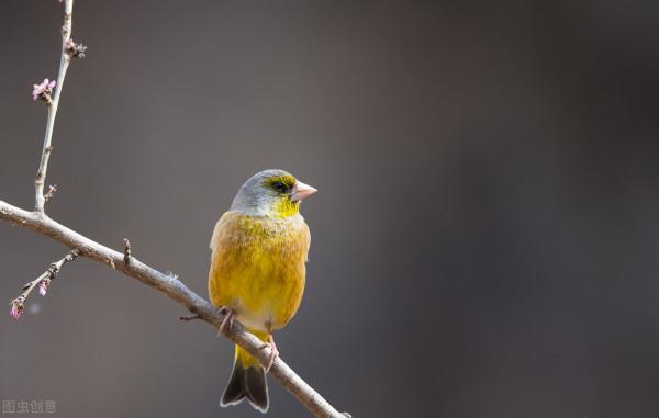 每一個勇敢的靈魂，都在向內求索