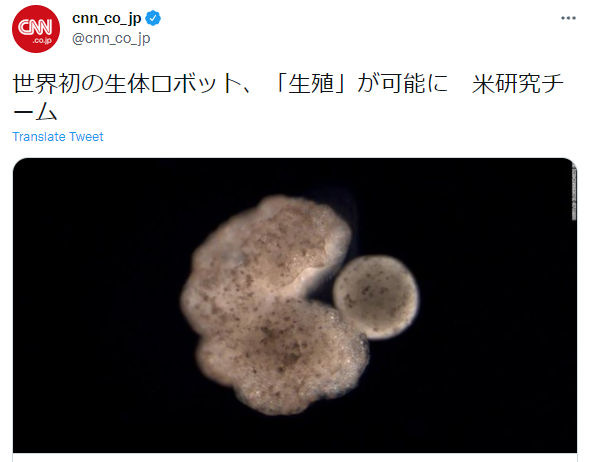 美研究組織:世界首例生體機器人Xenobot有生育可能形狀酷似吃豆人 美研究組織:世界首例生體機器人Xenobot有生育可能形狀酷似吃豆人