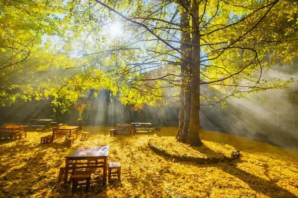 一眼心動！這個秋天，我要去這7個“最”中國的古村，享受慢時光