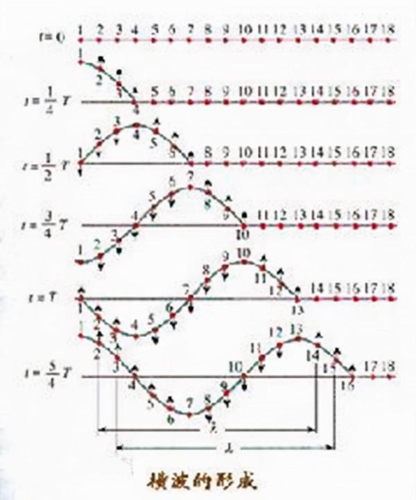機械波傳播的本質是能量的傳播