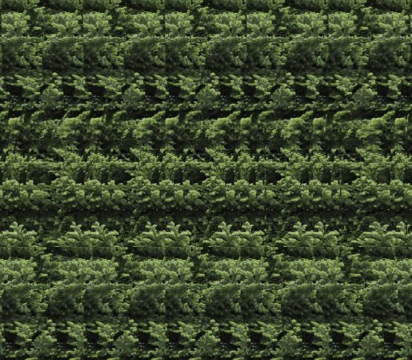 挑戰飛行員裸眼視力測試 挑戰飛行員裸眼視力測試