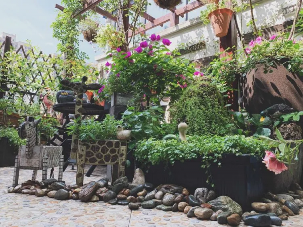 她改造的54㎡露臺花園，一個可在花叢中漫步的秘境，美不勝收