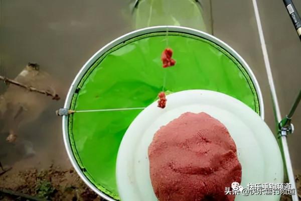 臘八釣鯽應變全攻略，就看這篇