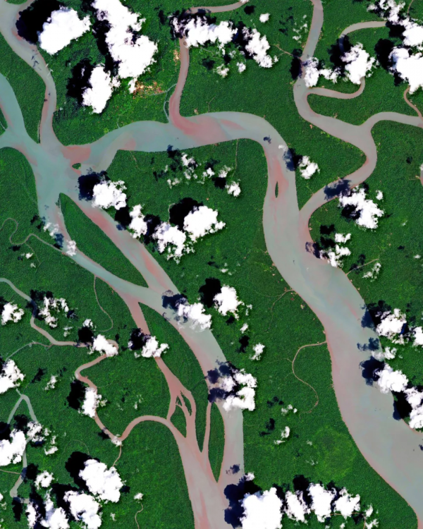 換個角度看世界，我們的認知被顛覆了