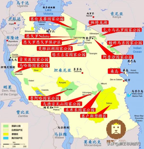 什麼是“Safari”? 什麼是“Safari”?