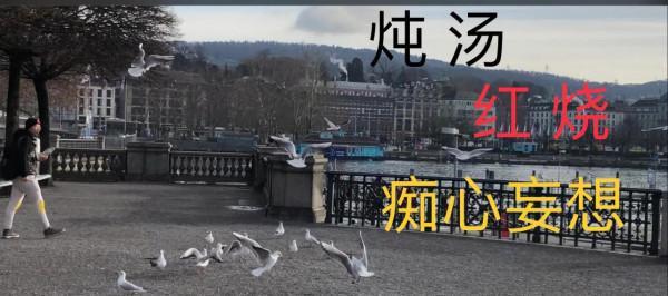 旅遊軼事(3)人鳥感應 令人匪夷所思 旅遊軼事(3)人鳥感應 令人匪夷所思