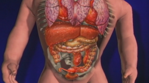 一個身體兩個頭，性格不同的連體姐妹花，該如何生活？