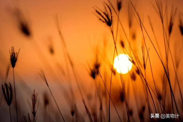餘生，願你有恰到好處的幸福