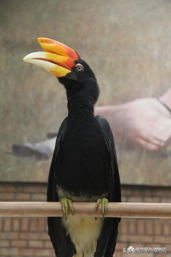 深秋時節，與動物相遇